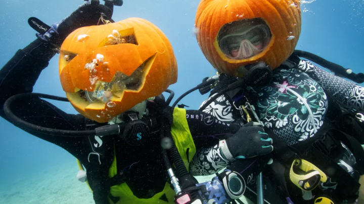 Celebrate Halloween at the Beaty Centre
