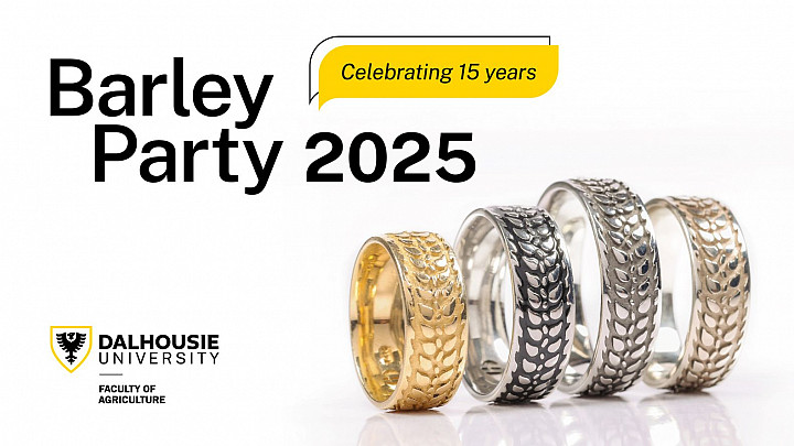 Barley Rings on a white background