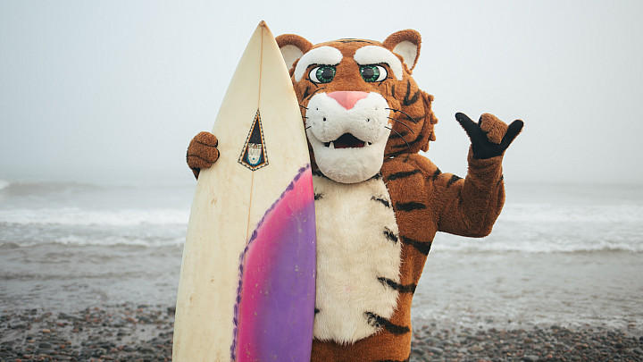 Dalhousie tiger mascot standing on the beach with a surfboard, giving the hang ten sign with its hand.