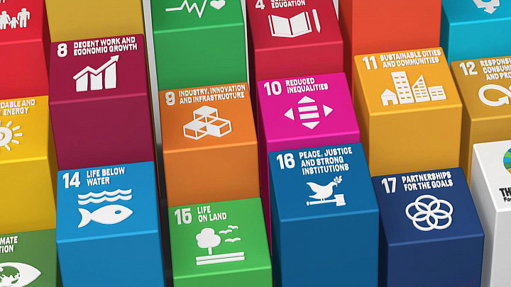 SDG graphic