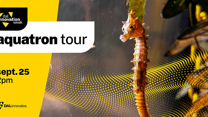 One side of the image shows a seahorse in an aquarium, the other side shows details regarding the event.