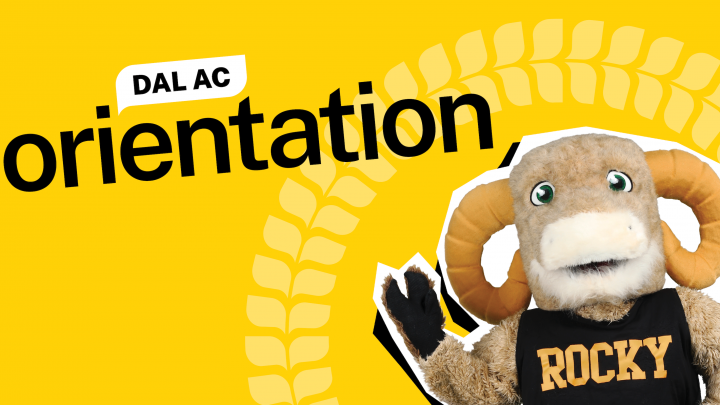AC Orientation